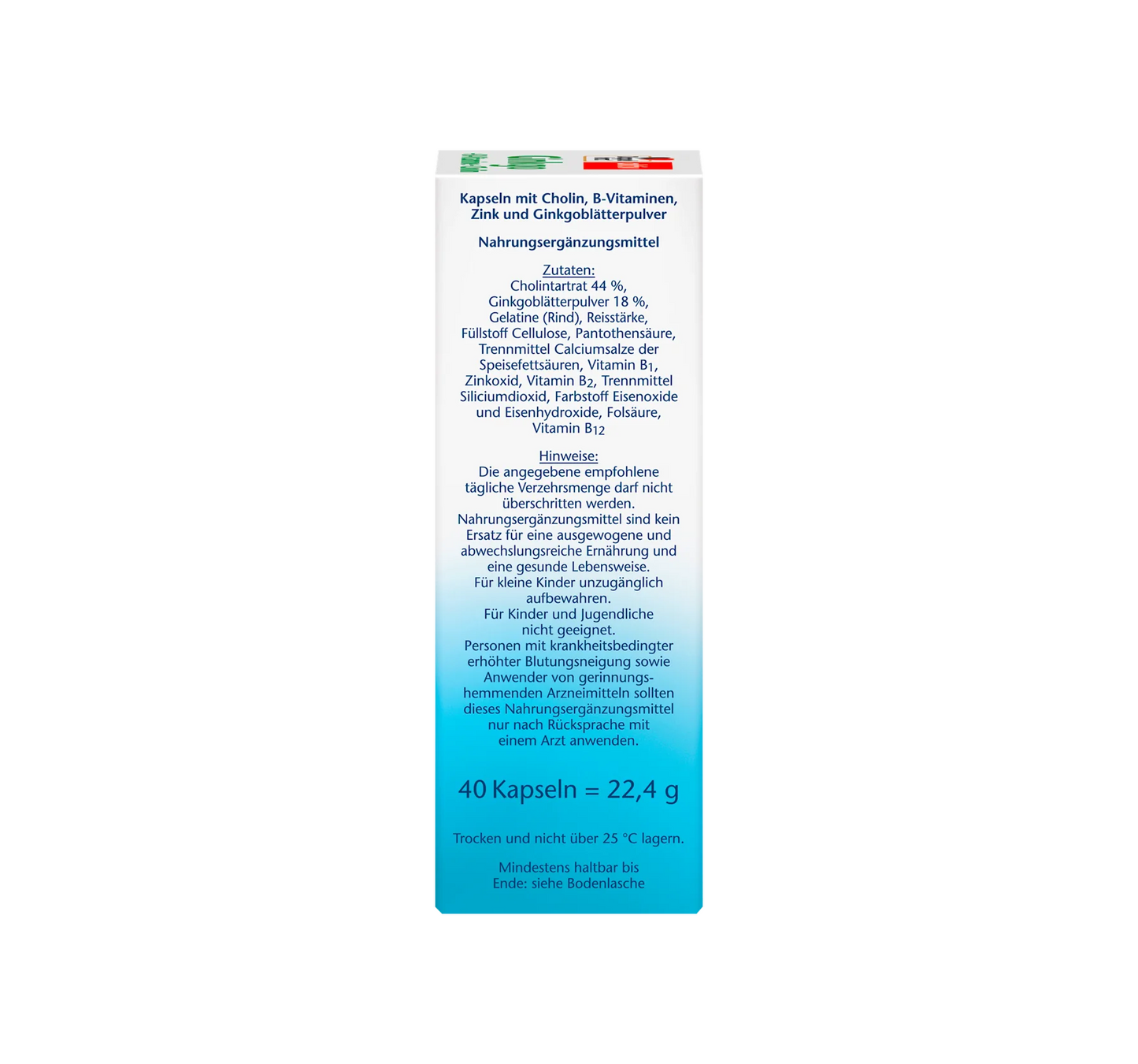Ginkgo + B Vitamins + Choline Capsules 40 pcs, 22.4 g