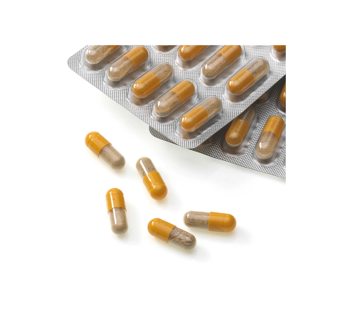 Ginkgo Memory + Cápsulas de concentración, 40 uds., 20 g